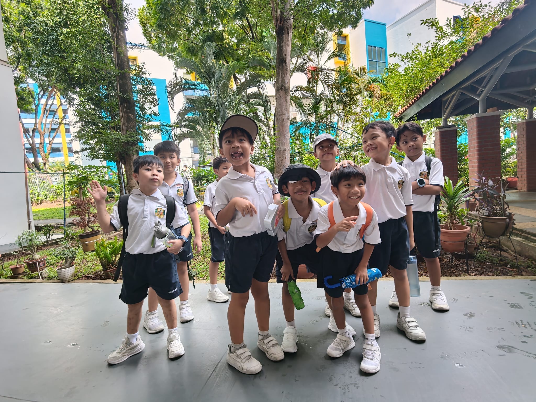 Neighbourhood Walk
